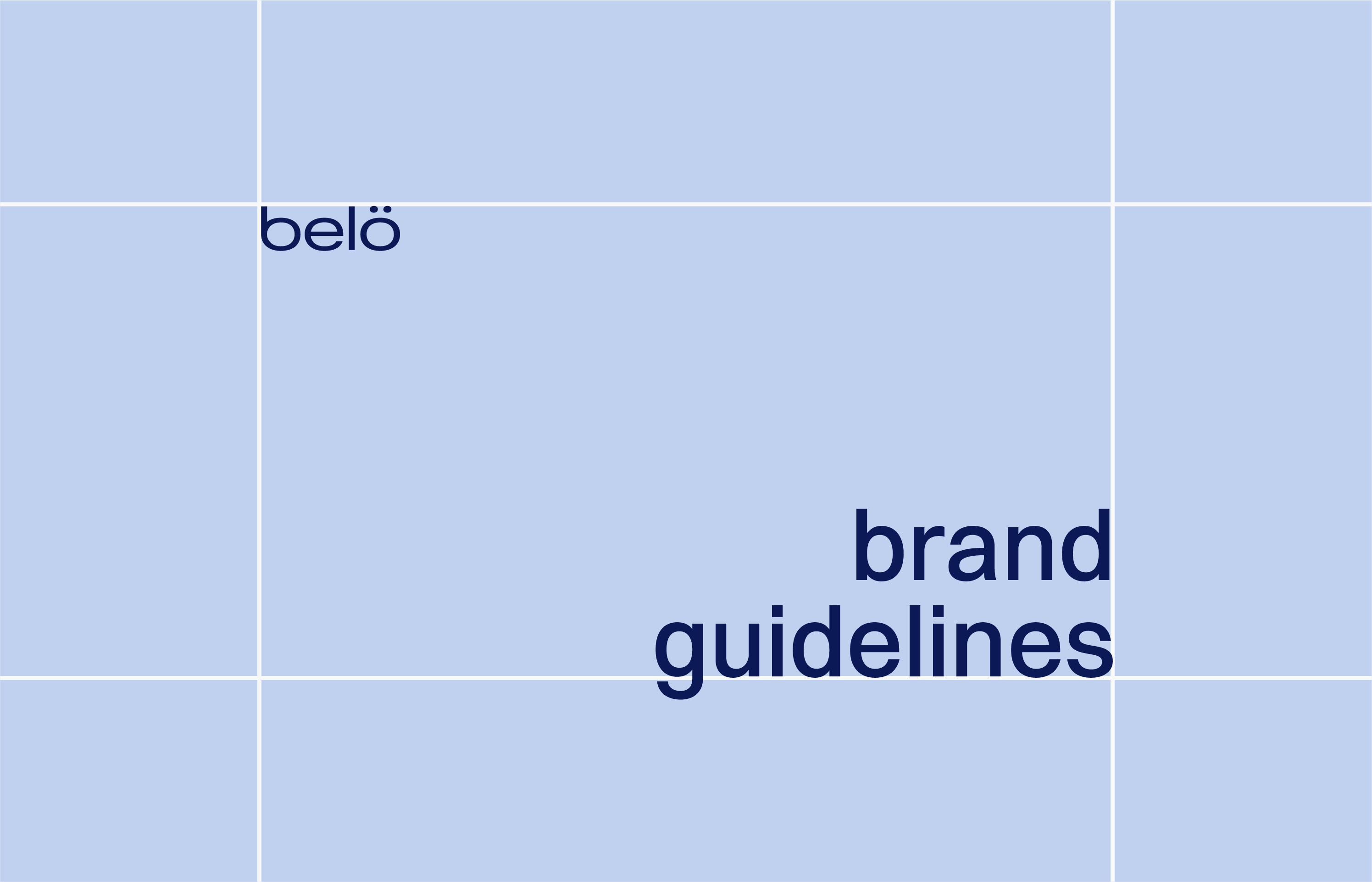 Brand Guidelines - usage rules
